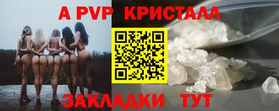 стаф Кунгур