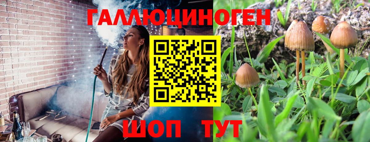 Псилоцибиновые грибы мухоморы Зеленодольск